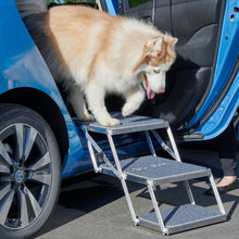 Load image into Gallery viewer, 2 Stepper on car side door with dog - Road Dog