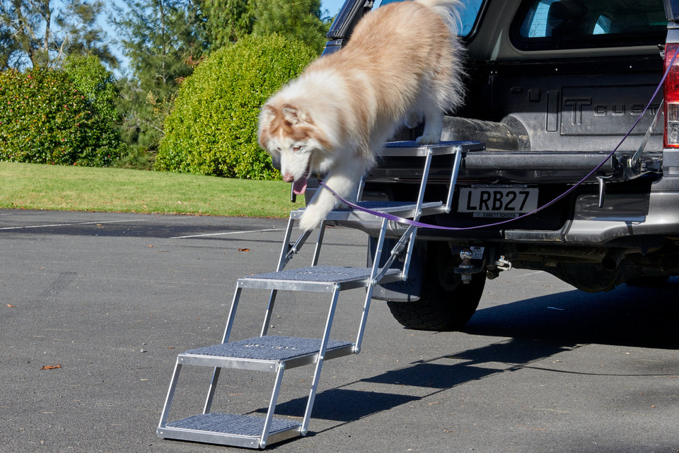 4 Stepper Unfolded on Ute with dog - Road Dog