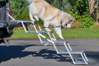 4 Stepper Unfolded on Ute with dog - Road Dog